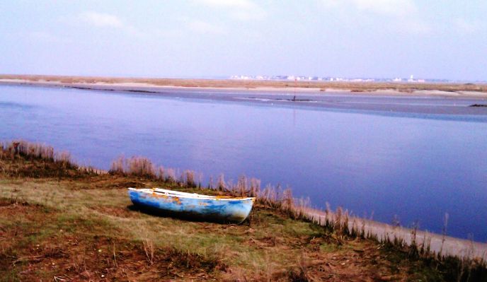 a la rencontre de la colonie de phoques veau marin