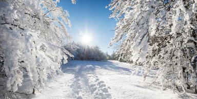 Séjour au pays du Lac Blanc