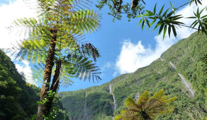 La Réunion, un Eden volcanique