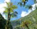 La Réunion, un Eden volcanique