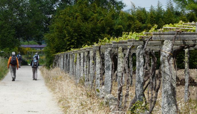 Le chemin portugais, de Ponte de Lima à Santiago de Compostela Le chemin portugais, de Ponte de Lima à Santiago de Compostela