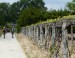 Le chemin portugais, de Ponte de Lima à Santiago de Compostela