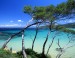 Nouvel An - Presqu'île de Giens et les îles d'Or
