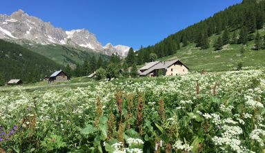 Randonnées douces et Yoga dans la vallée de la Clarée