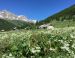 Rando et bien-être dans la vallée de la Clarée