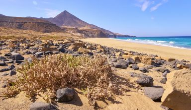 Fuerteventura, la saharienne