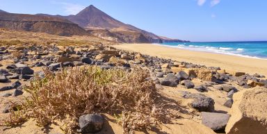 Fuerteventura