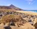 Fuerteventura, la saharienne
