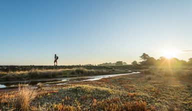 Nouvel An - Le Golfe du Morbihan et ses îles