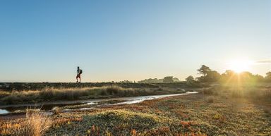 Nouvel An - Le Golfe du Morbihan et ses îles