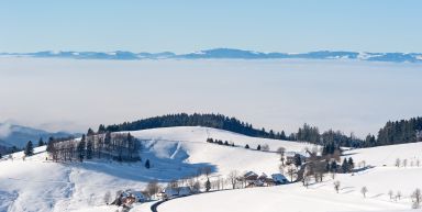 Nouvel An - Réveillon gastronomique au pays du Lac Blanc