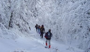 Nouvel An - Vercors, l'échappée blanche