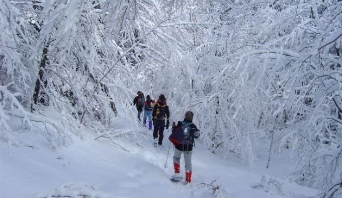 Nouvel An - Raquettes et bien-être dans le Vercors