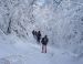 Nouvel An - Raquettes et bien-être dans le Vercors