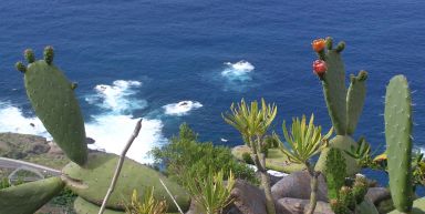 Tenerife, l'île du printemps éternel