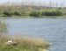 La baie de Somme et la côte d'Albâtre