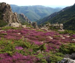 Le Massif du Caroux, rando et balnéo 