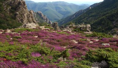 Le Massif du Caroux, rando et balnéo 