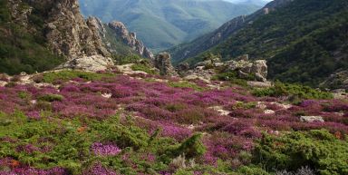 Le Massif du Caroux, rando et balnéo 