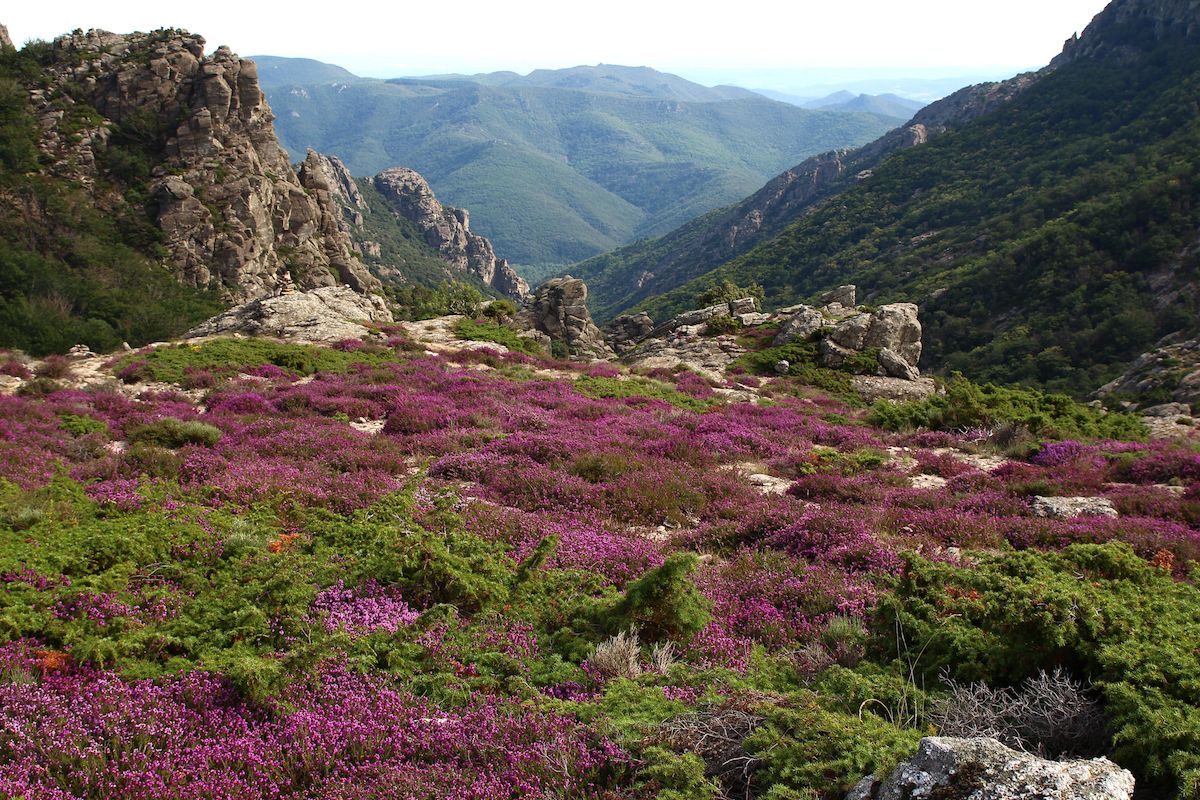 Le Massif du Caroux, rando et balnéo 
