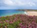     La presqu'île de Crozon et Ouessant