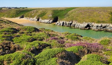 Belle-Ile-en-Mer à pied et à vélo (en étoile)