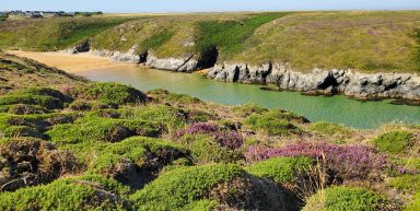 Belle-Ile-en-Mer à pied et à vélo