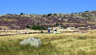 Le Mont Lozère, rando et balnéo 