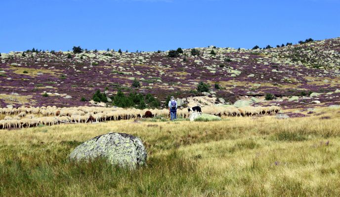 Le Mont Lozère, rando et balnéo 