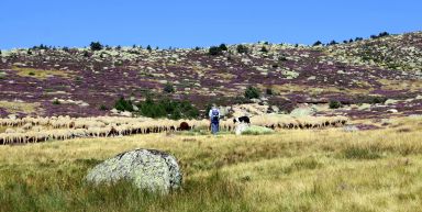 Le Mont Lozère, rando et balnéo 