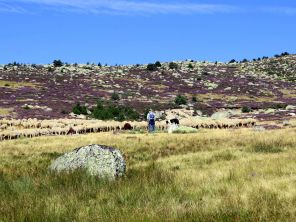 Le Mont Lozère, rando et balnéo 