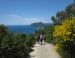 Les îles ioniennes de Corfou et Paxos