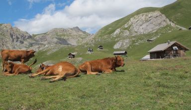 Trois vallées au cœur du Queyras