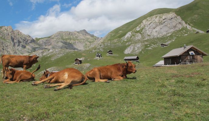 Trois vallées au cœur du Queyras