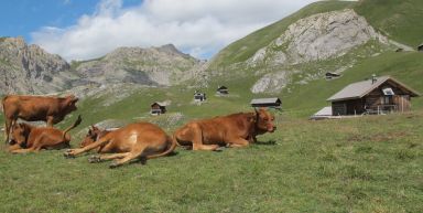 Trois vallées au cœur du Queyras