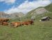 Trois vallées au cœur du Queyras