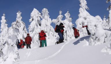 Le Mont Lozère, raquettes et bien-être