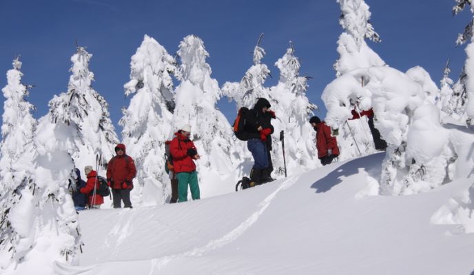 Le Mont Lozère : raquettes et bien-être