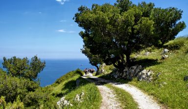 Les Pouilles et le Gargano 