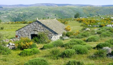 Le Chemin de Stevenson : De Chasseradès à Saint-Jean-du-Gard