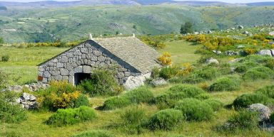 Le Chemin de Stevenson : De Chasseradès à Saint-Jean-du-Gard