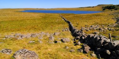 Tour de l'Aubrac