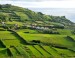 Les Açores : balades, baleines et hortensias