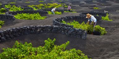 Lanzarote, l'île volcanique