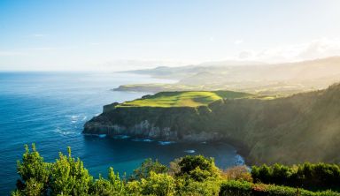 Les Açores, balades, baleines et hortensias