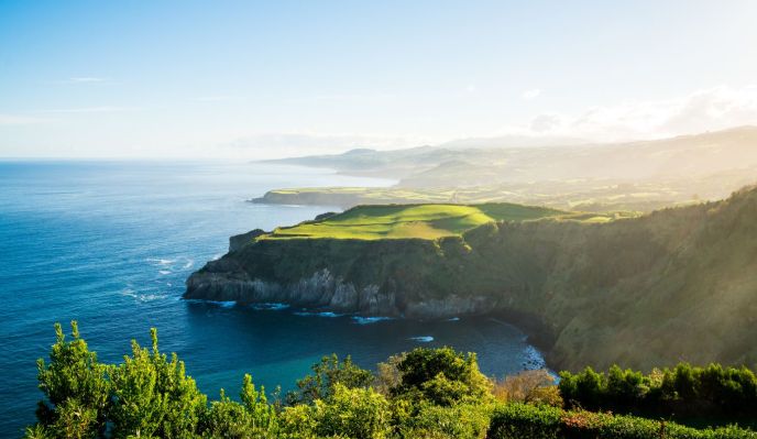 Les Açores : balades, baleines et hortensias