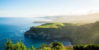 Les Açores, balades, baleines et hortensias