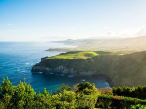 Les Açores, balades, baleines et hortensias