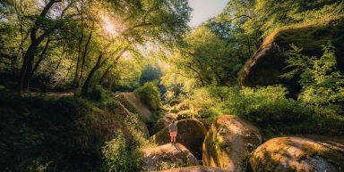 Des Monts d'Arrée à la Baie de Morlaix