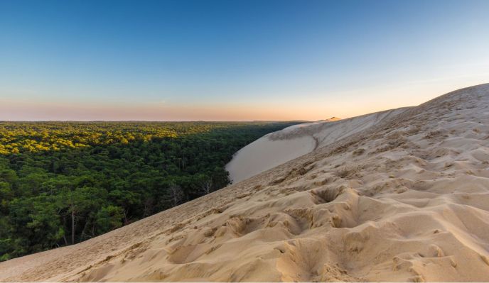 Le bassin d'Arcachon (marche nordique)